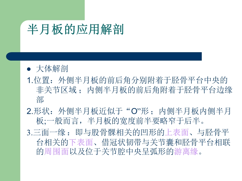 半月板的解剖与功能.ppt_第2页