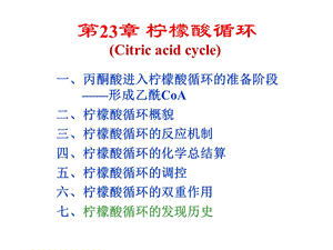 生物化学第23章柠檬酸循环.ppt