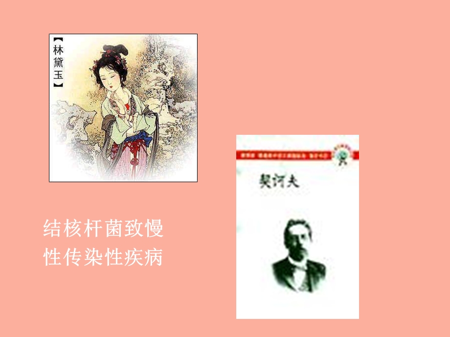 抗结核抗真菌.ppt_第2页