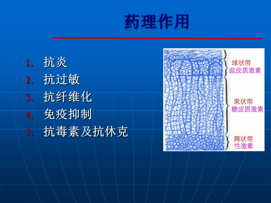 糖皮质激素在呼吸系统疾病中的合.ppt_第2页