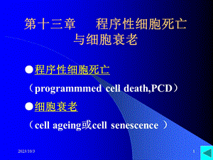 程序性细胞死亡与细胞衰老PPT课件.ppt