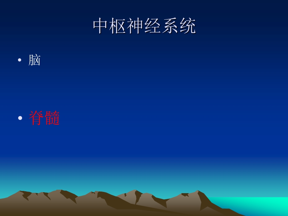 神经系统的体表定位曹曦光.ppt_第3页