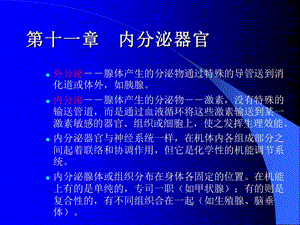 形态学鱼类学第十一章.ppt