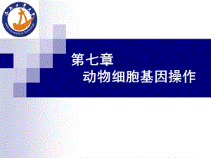 基因工程原理第七章.ppt