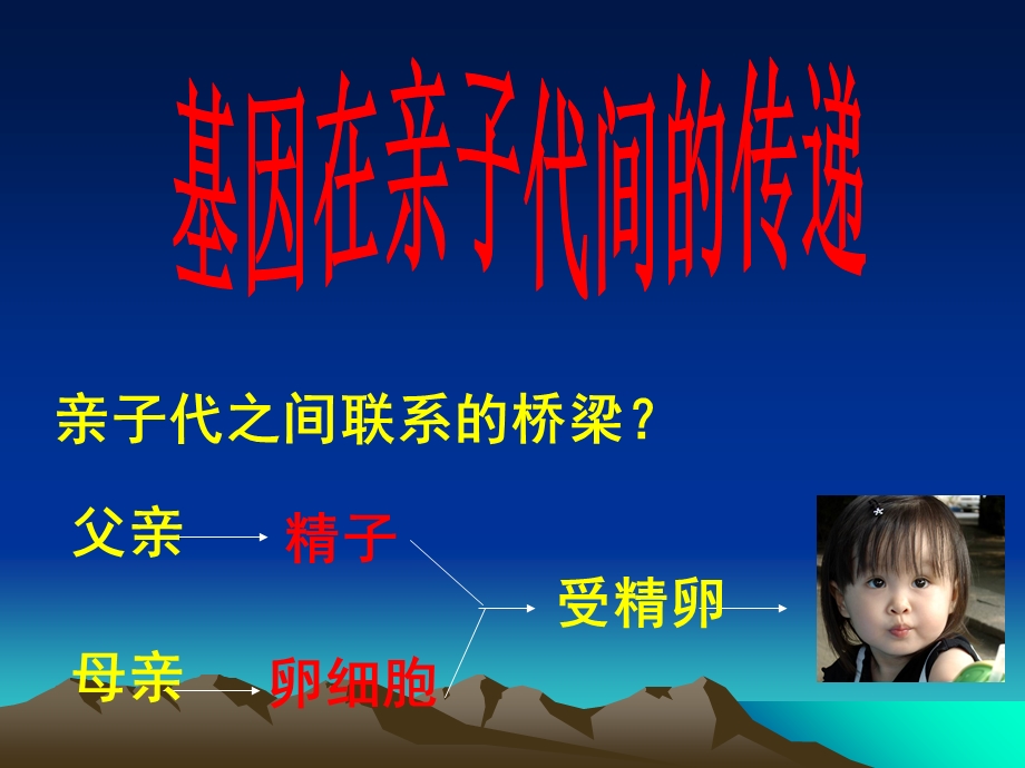 基因在亲子间的的传递.ppt_第2页