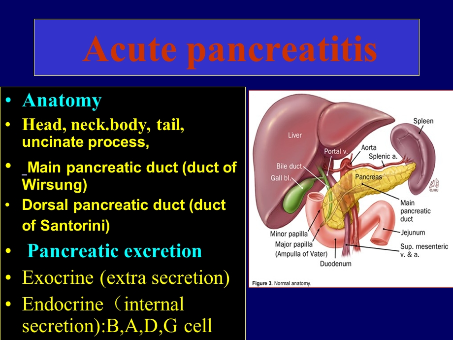 胰腺疾病外科教学课件.ppt_第2页