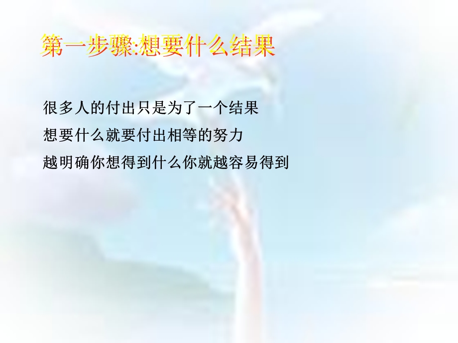 成功的十大步骤新.ppt_第3页