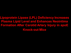 建立基因敲除小鼠颈动脉粥样硬化模型英文PPT课件.ppt