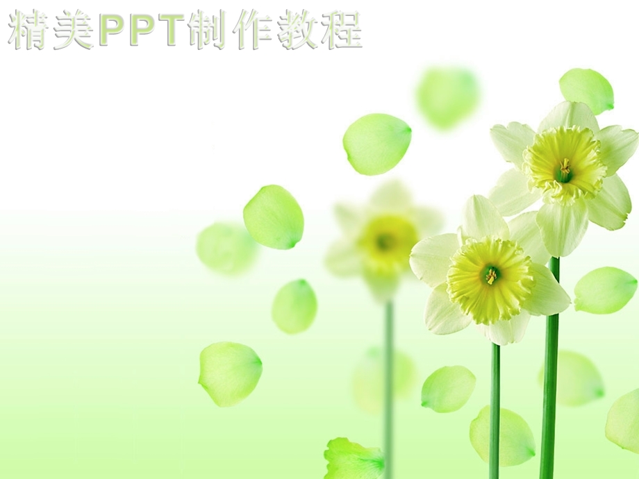 精美PPT制作教程.ppt_第1页