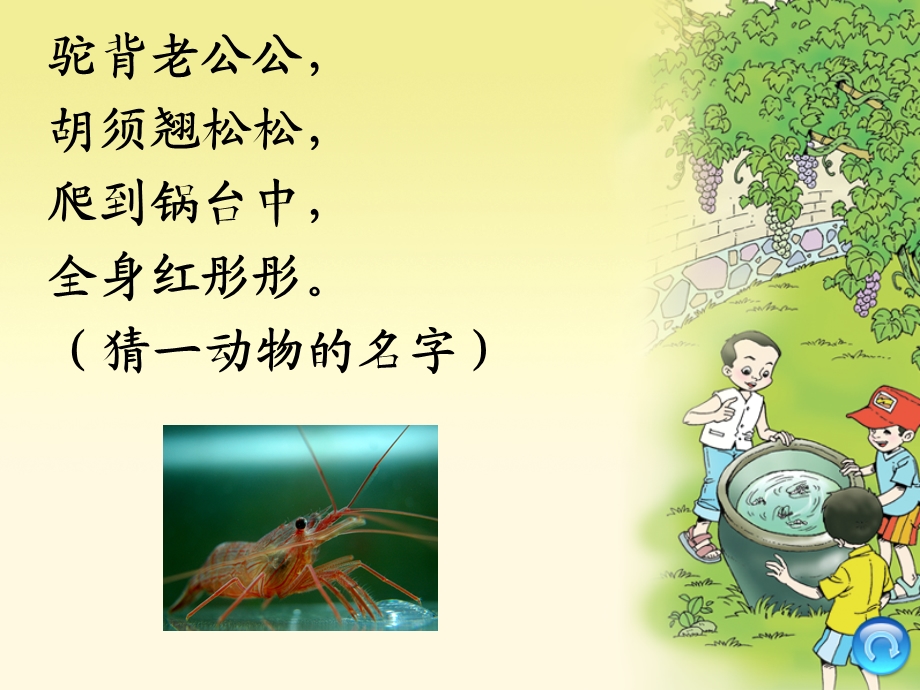 北师大版三年级下最新课件《小虾》ppt.ppt_第1页