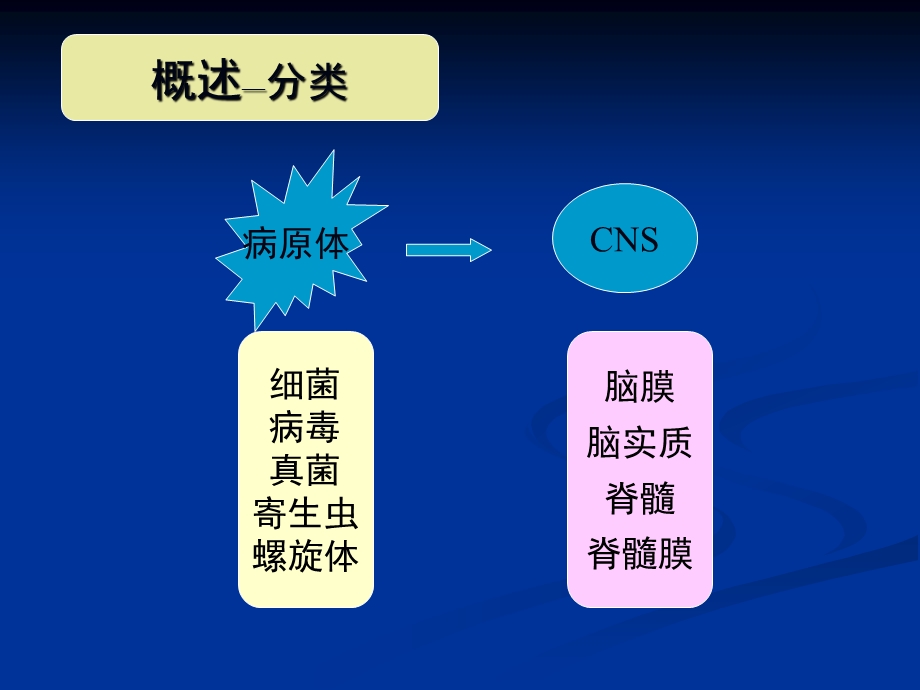 神经系统-感染-流脑.ppt_第3页