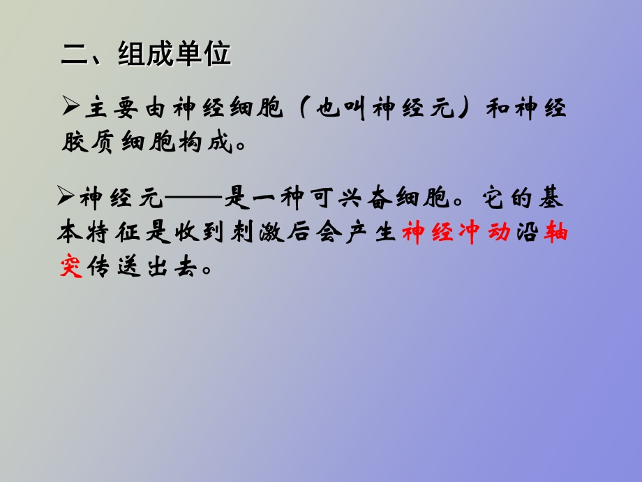 神经系统组成.ppt_第3页