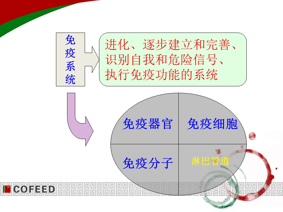 免疫器官和组织PPT课件.ppt_第3页