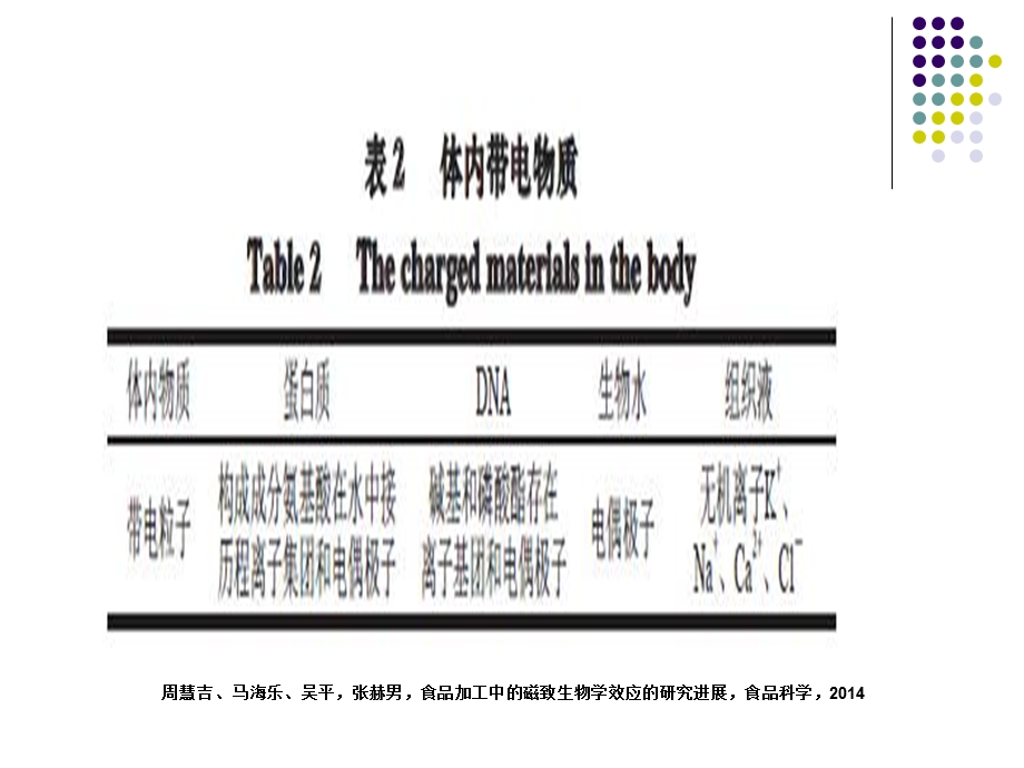 磁场的生物学效应以人为对象.ppt_第3页