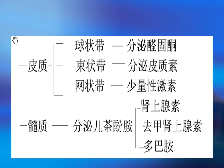 嗜铬细胞瘤小讲课.ppt_第2页