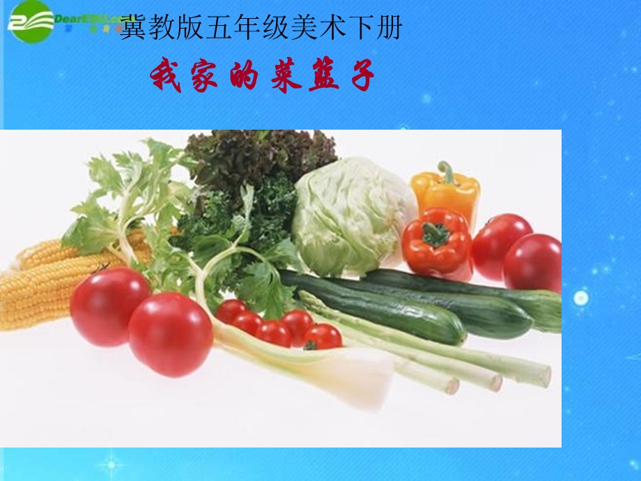 美术下册我家的菜篮子.ppt_第1页