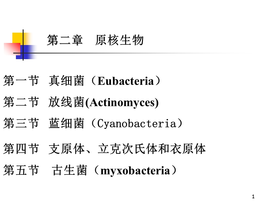 环境工程微生物学第二章-原核微生物.ppt_第1页