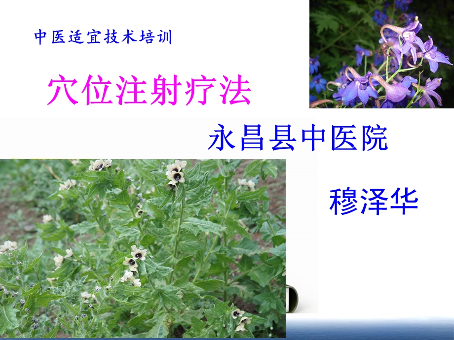 穴位注射疗法.ppt_第1页