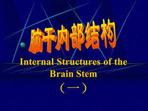 脑干内部结构解剖学教学课件.ppt