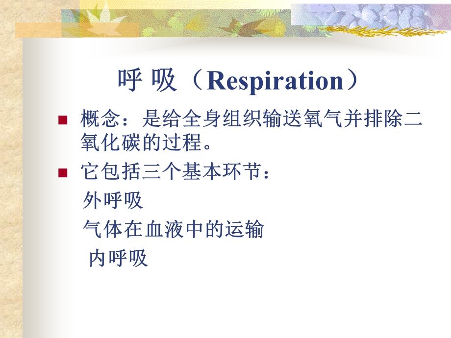 呼吸功能监测PPT课件.ppt_第2页