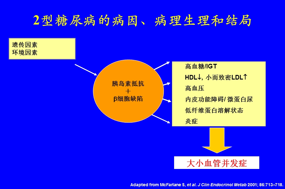 糖尿病药物治疗—问题与失误.ppt_第2页