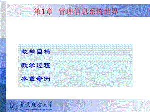 管理信息系统世界 (2).ppt