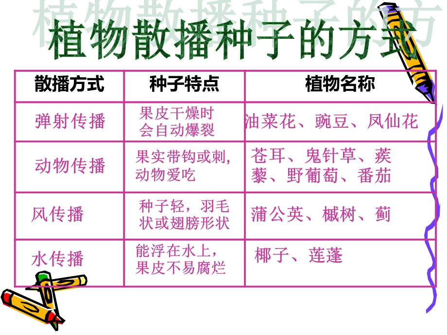 四年级下册科学动物的繁殖活动.ppt_第2页