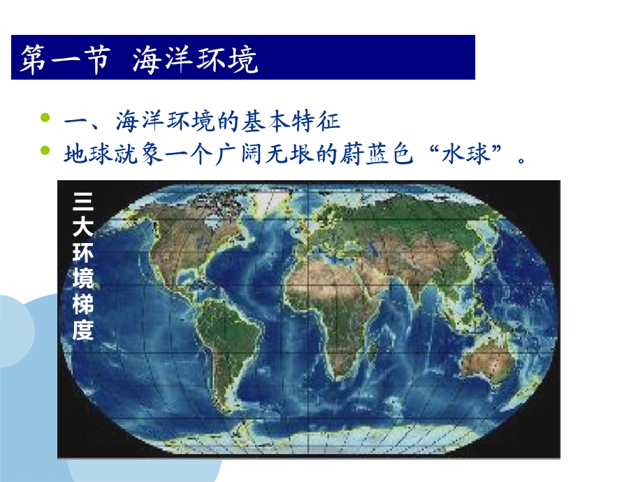 海洋环境及海洋生物类群.ppt_第2页