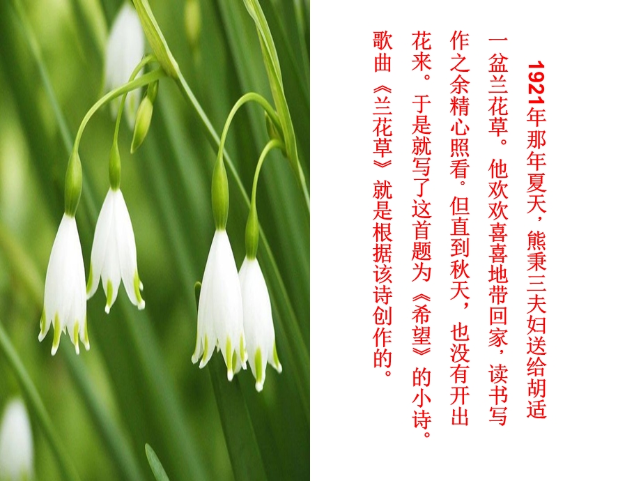 吉他弹唱——兰花草 PPT素材.ppt_第3页