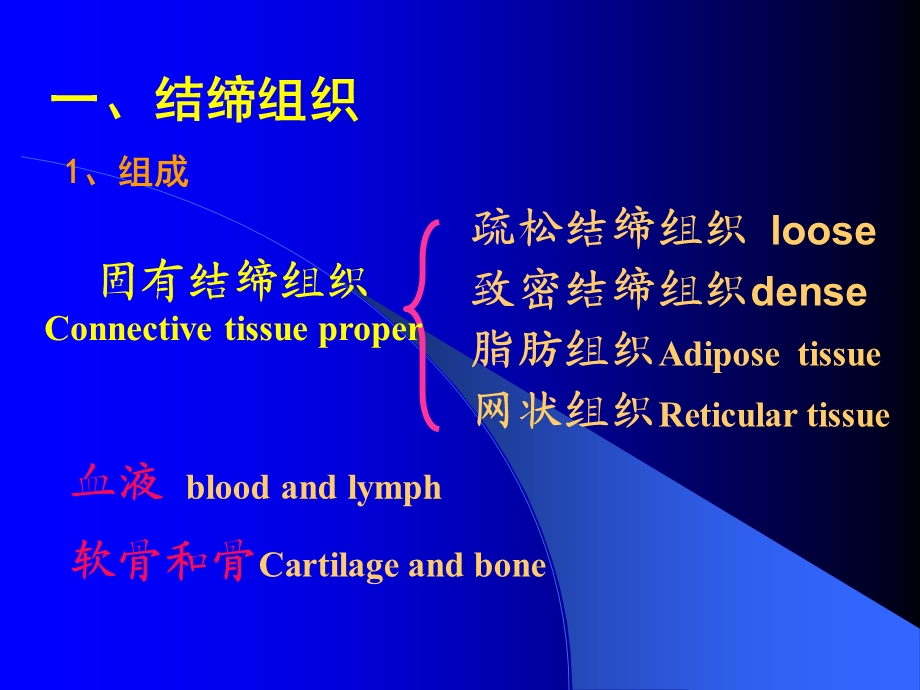 实验二结缔组织肌组织神经组织.ppt_第3页