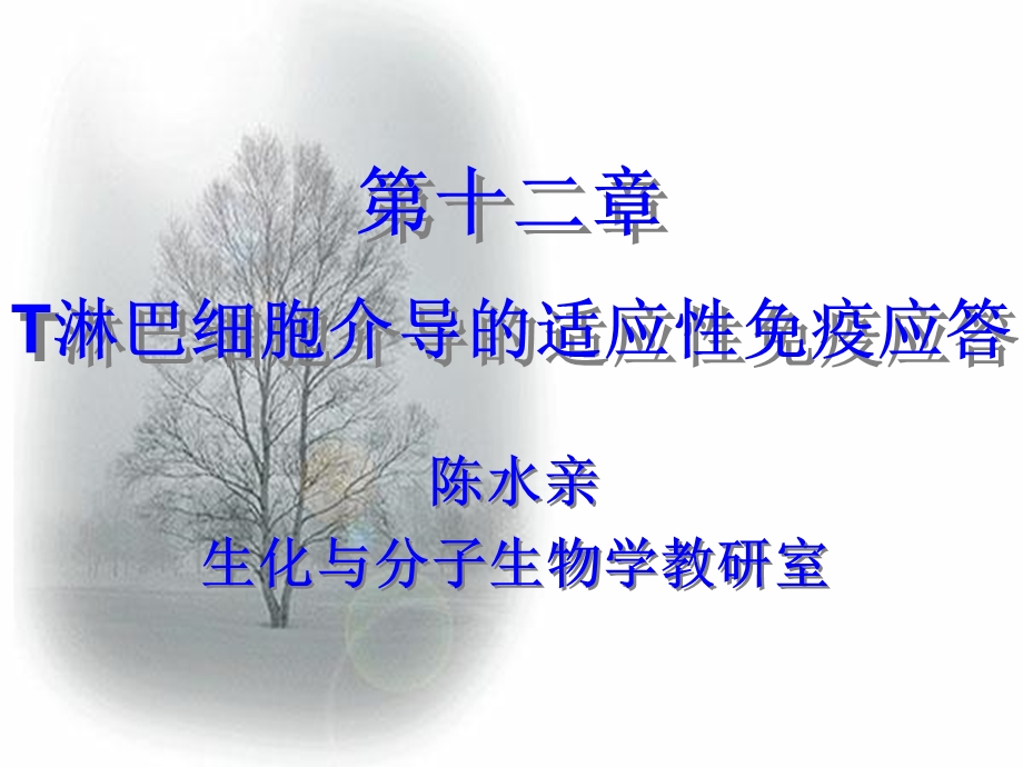 淋巴细胞介导的适应性免疫应答.ppt_第1页