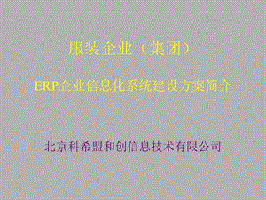 服装企业系统的投资回报.ppt