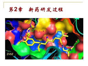 新药研发的过程.ppt