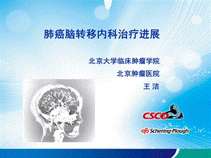 肺癌脑转移内科治疗进展csco年会.ppt