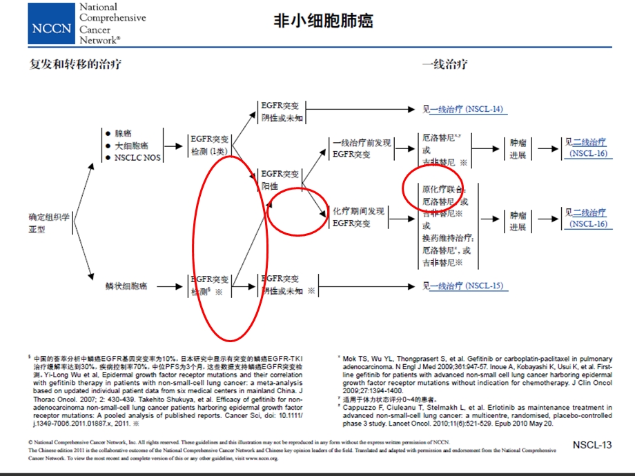 非小细胞肺癌的热点讨论医学课件.ppt_第3页