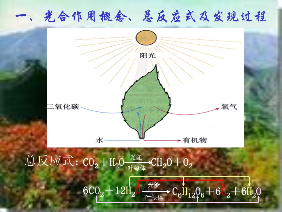 高二生物绿色植物的光合作用.ppt_第3页