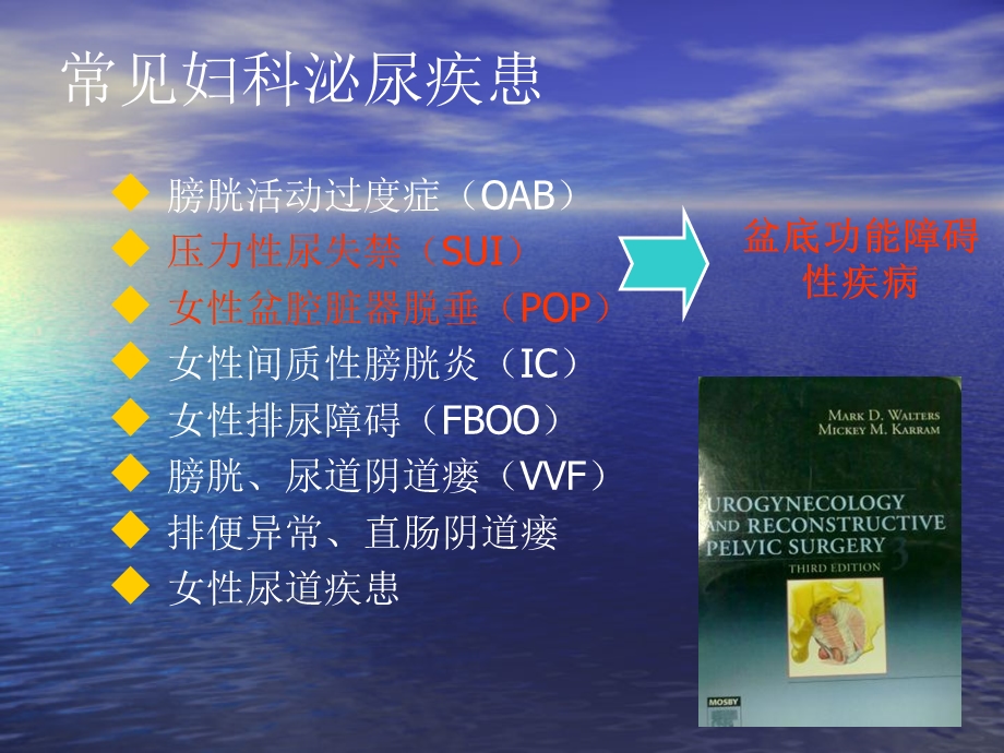 尿动力检查在盆底外科中的运用.ppt_第2页