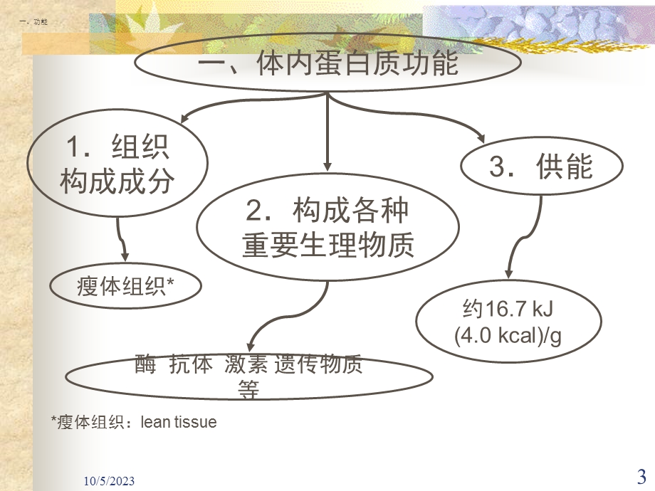 食品营养学概论华农版.ppt_第3页