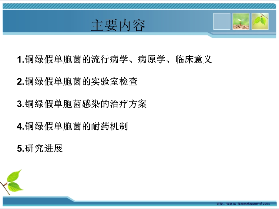 铜绿假单胞菌的耐药.ppt_第2页