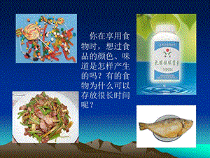 食品添加剂的安全性.ppt