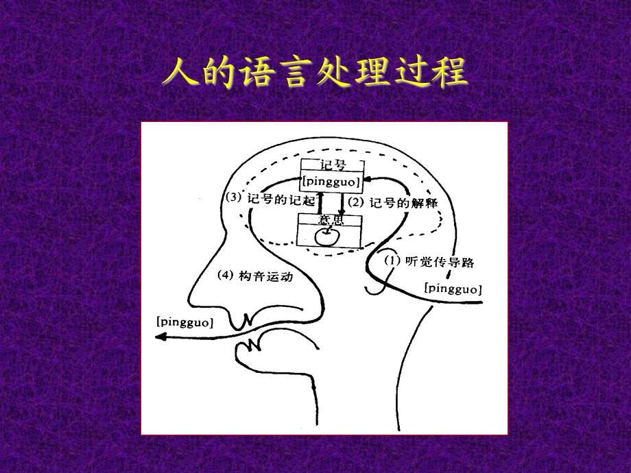 言语障碍的评定.ppt_第3页