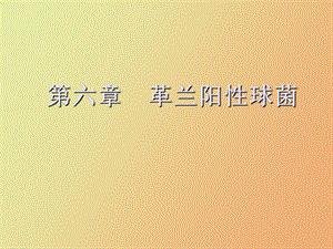 革兰阳性球菌.ppt