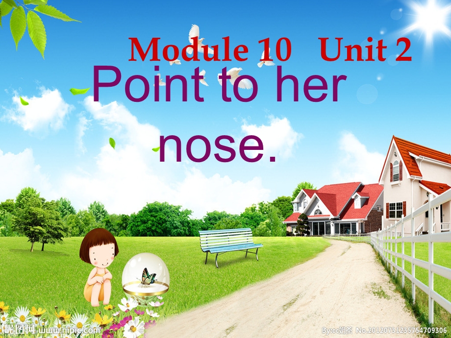 10Unit2Pointtohernose.ppt_第3页