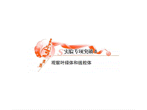 观察叶绿体和线粒体.ppt