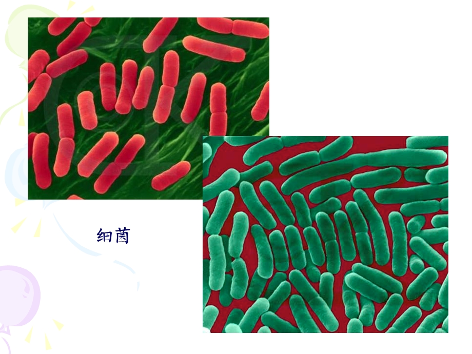 食品腐败变质的因素及其控制.ppt_第3页