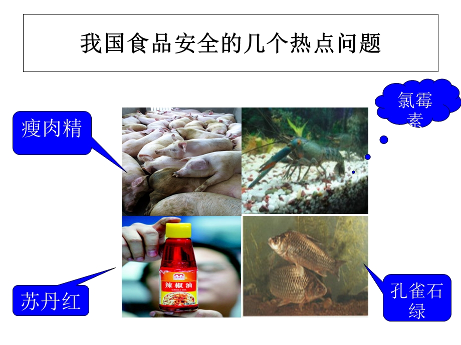 食品安全监督管理PPT课件.ppt_第1页