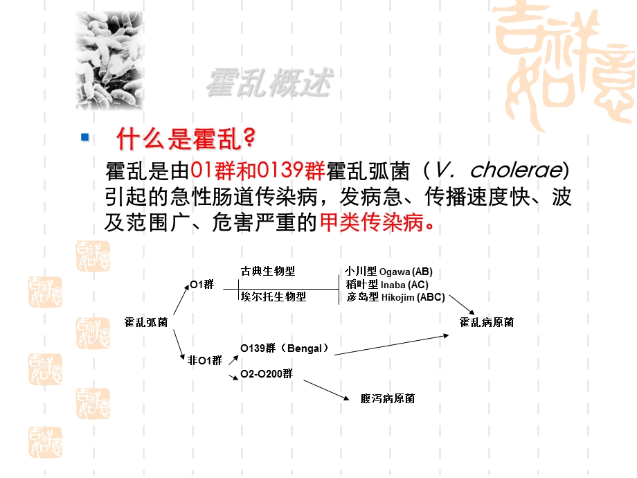 霍乱弧菌实验室检测.ppt_第3页