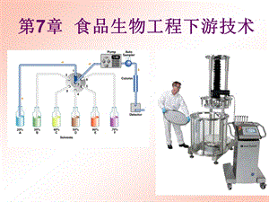 食品生物工程下游技术.ppt