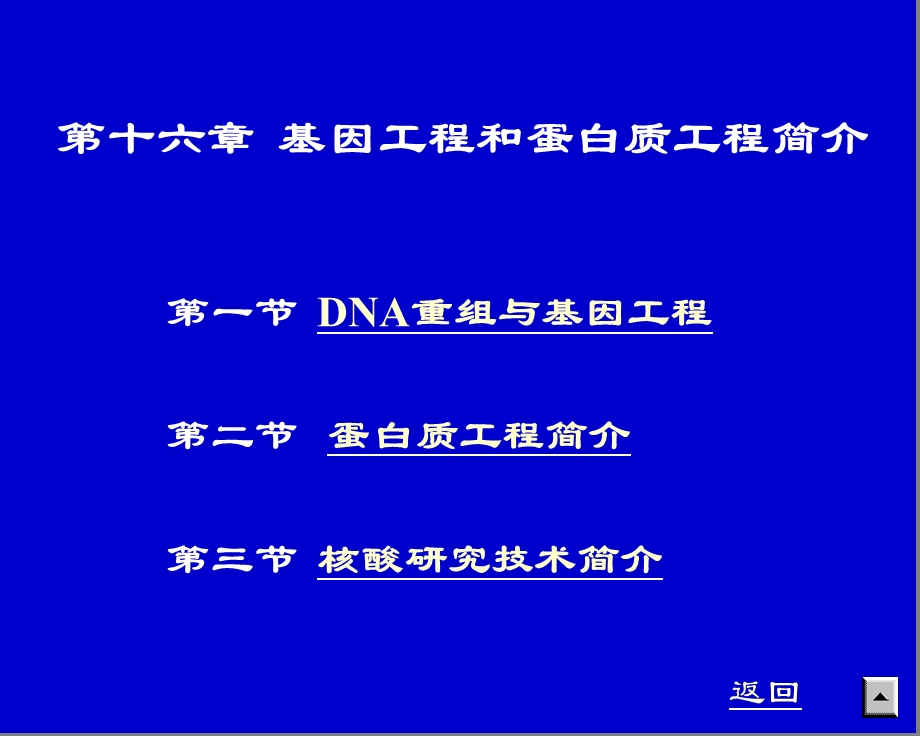 蛋白质工程和基因工程的简介.ppt_第1页