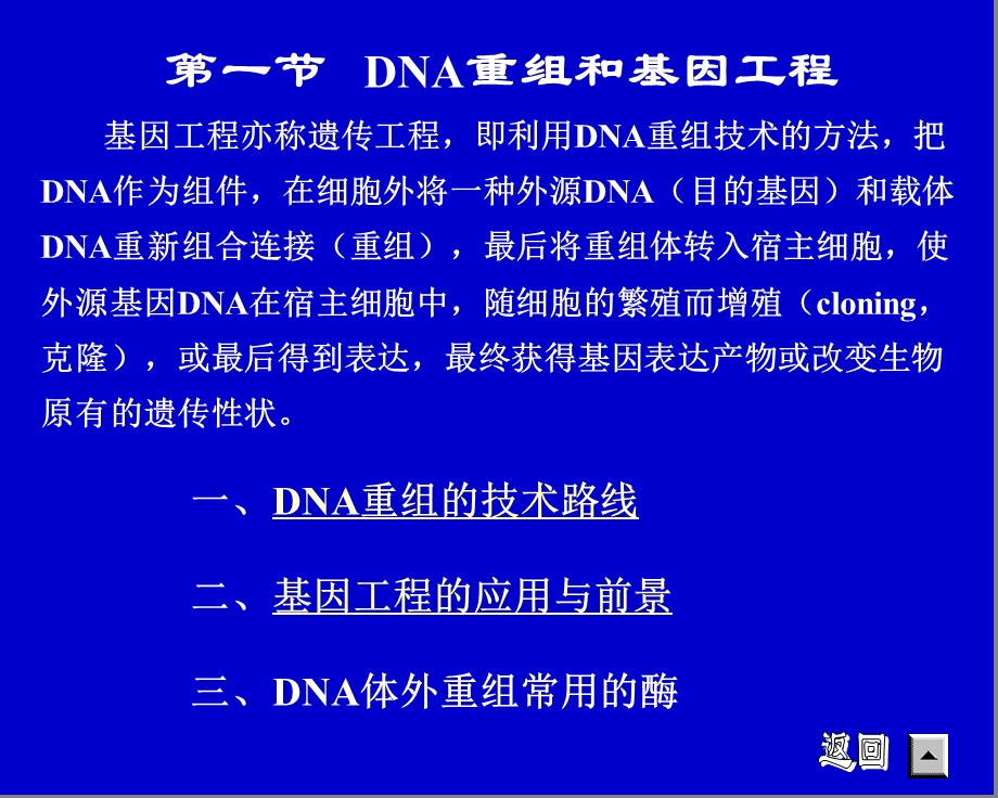 蛋白质工程和基因工程的简介.ppt_第2页